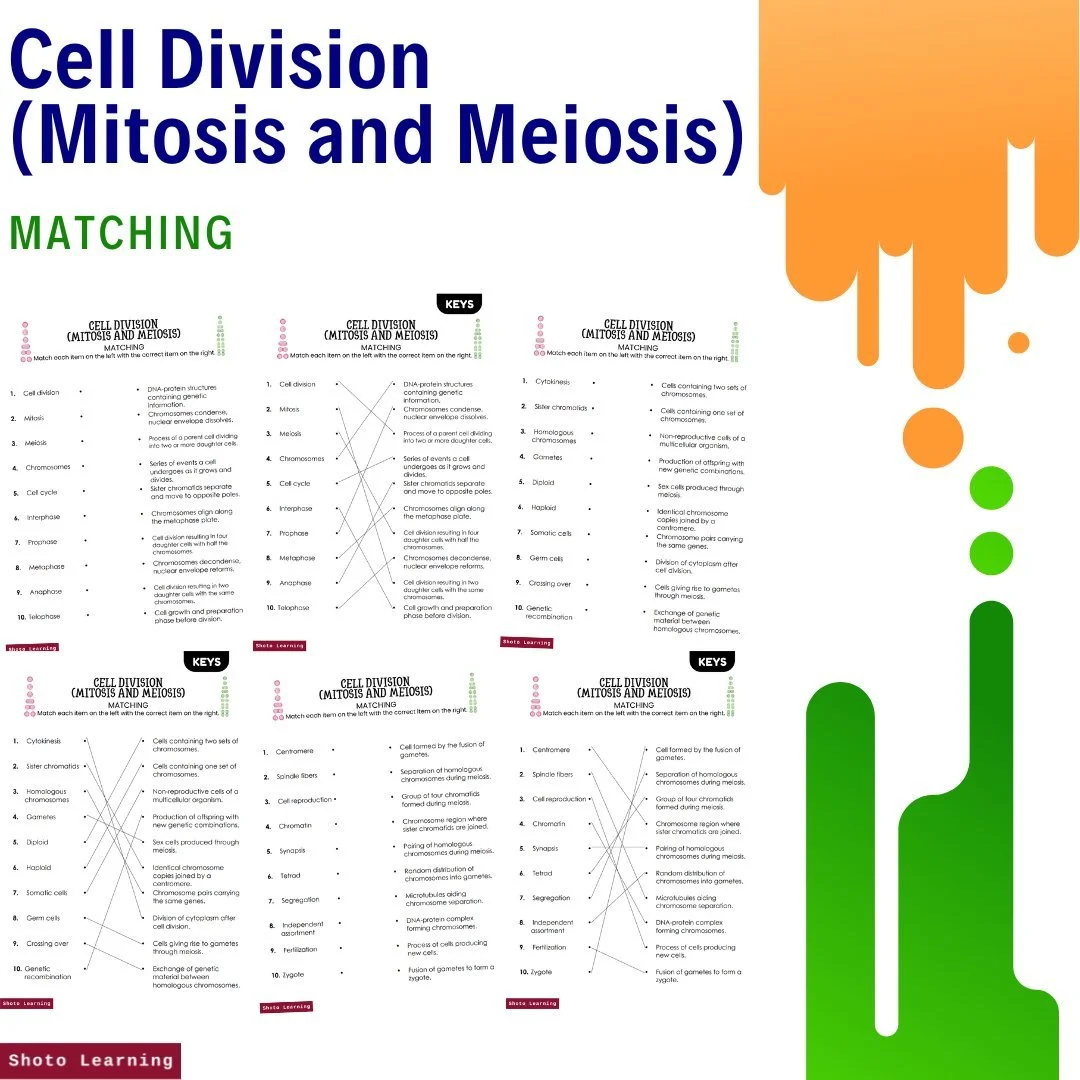 Cell Division Word Search: Mitosis & Meiosis Worksheet